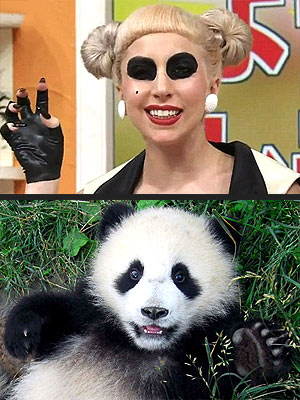 Lady Gaga Panda