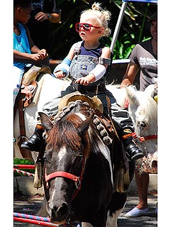 Spotted: Zuma Rossdale Goes to the Petting Zoo! | Zuma Rossdale