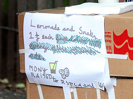 Gwyneth Paltrow Sells Lemonade to Help Animals| Stars and Pets, Gwyneth Paltrow