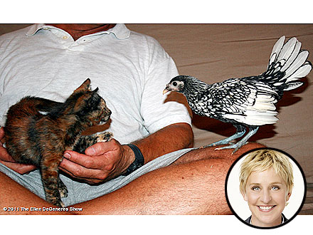 Ellen DeGeneres Rescues a Sick Kitten | Ellen DeGeneres