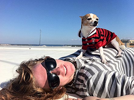 We the Kings Singer Travis Clark, Dog Elvis Shredded Couch