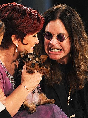 Ozzy Osbourne Shells Out $10,000 for a Yorkie | Ozzy Osbourne