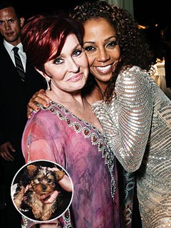 Osbourne Pup Is Ready for a Royal Good Time in London | Holly Robinson-Peete, Sharon Osbourne