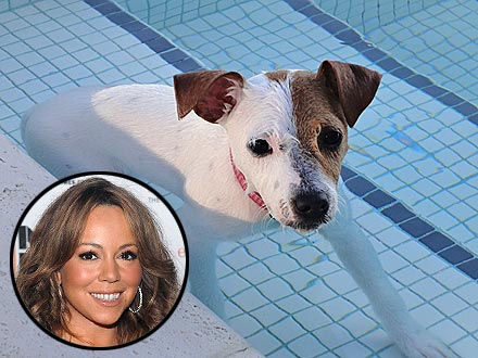 How Mariah Carey's Dog Is Getting Her in Shape | Mariah Carey