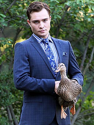 Spotted Leighton Meester Ed Westwick Greet a Duck on the Gossip Girl Set 