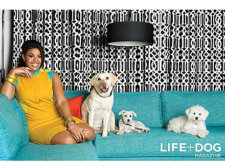 Jordin Sparks: 'My Dogs Make Me a Better Person'| Stars and Pets, Jordin Sparks