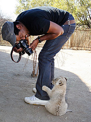 Wild Times! Blair Underwood Hangs with Elephants and Lion Cubs in Africa| Stars and Pets, Blair Underwood