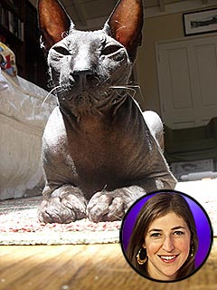 Mayim Bialik Forgets Her Pain – with Help from Her Cat | Mayim Bialik