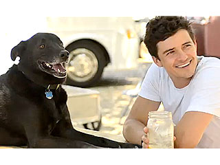 Orlando Bloom Joined at the Hip with His Dog | Orlando Bloom