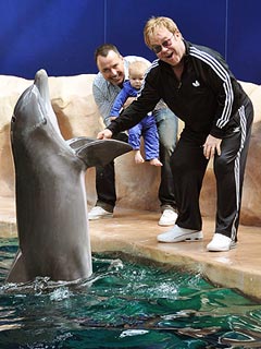 Face-to-Flipper! Elton John's Son Zachary Meets a Dolphin