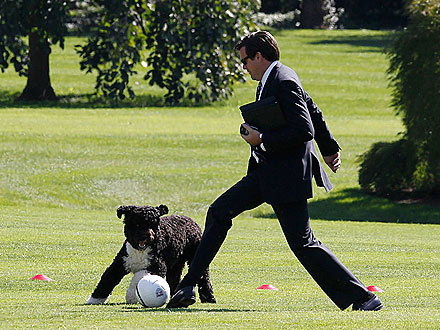 Gooooal! Bo Obama Plays Soccer at the White House| Cute Pets, Dogs