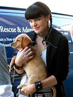 NCIS Star Pauley Perrette Uncovers the Secret to Animal Longevity