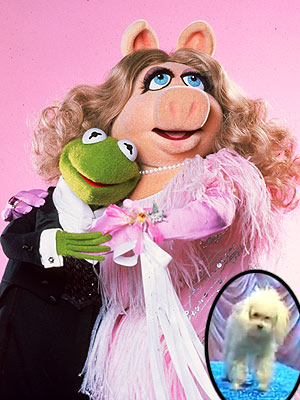 Muppet Mess: Miss Piggy Forced to Choose Between Her Dog and Her Frog