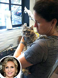 Jane Lynch's Cat Greta Dies | Jane Lynch