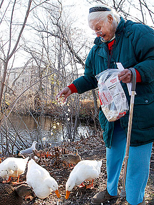 80-Year-Old Woman Faces Criminal Charges for Feeding Ducks