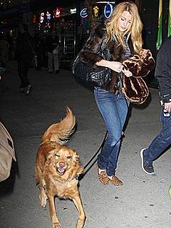 Ryan Reynolds's Dog-Sitter? Blake Lively! | Blake Lively