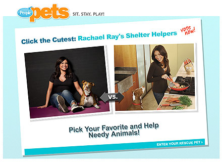 Rachael Ray to Donate $25,000 to Animal Rescue| Animal Charities, Rachael Ray