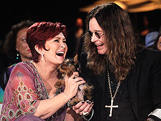 Sharon Osbourne Employs a Full-Time Nanny – for Her Dogs! | Sharon Osbourne