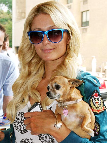 PARIS HILTON photo | Paris Hilton