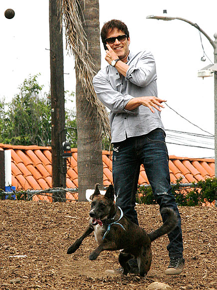 STEPHEN MOYER photo | Stephen Moyer