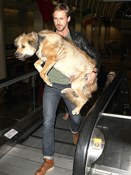 RYAN GOSLING photo | Ryan Gosling