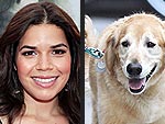 America Ferrera