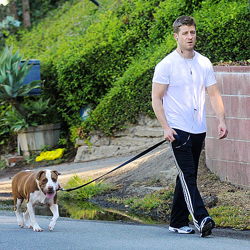 BEN MCKENZIE photo | Benjamin McKenzie