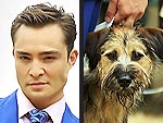 Ed Westwick