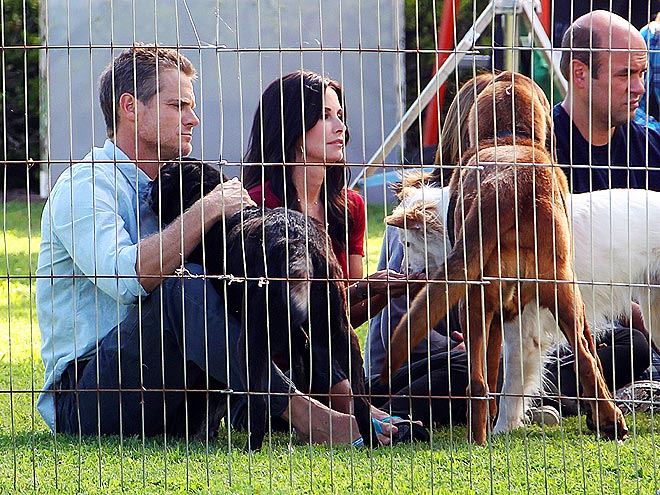 COURTENEY COX photo | Courteney Cox