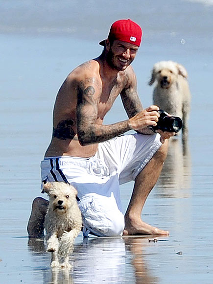 DAVID BECKHAM photo | David Beckham