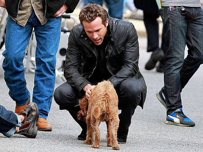 RYAN REYNOLDS photo | Ryan Reynolds