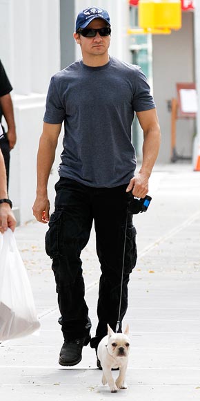 JEREMY RENNER photo | Jeremy Renner