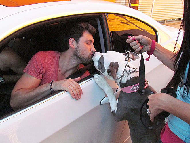 MAKSIM CHMERKOVSKIY photo | Maksim Chmerkovskiy