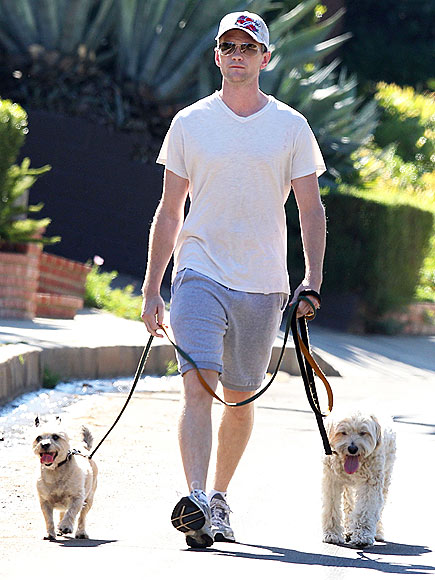 NEIL PATRICK HARRIS photo | Neil Patrick Harris