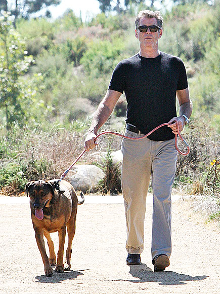 PIERCE BROSNAN photo | Pierce Brosnan