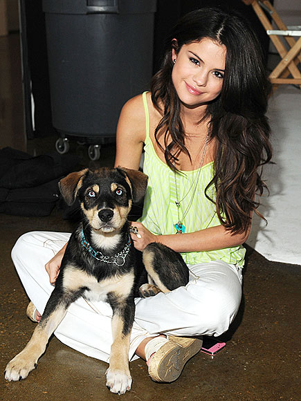 SELENA GOMEZ photo | Selena Gomez