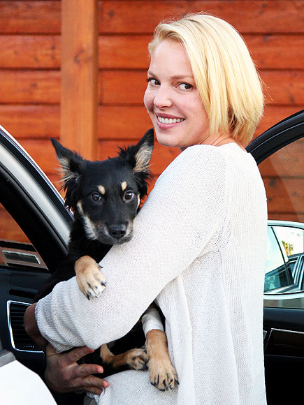 KATHERINE HEIGL photo | Katherine Heigl