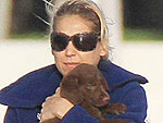 Stars and Their Pets: Anna Kournikova's Cuddly Crew Mate | Anna Kournikova