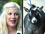 Tori Spelling
