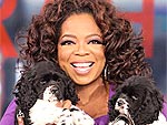 Oprah's Four-Legged Kids | Oprah Winfrey