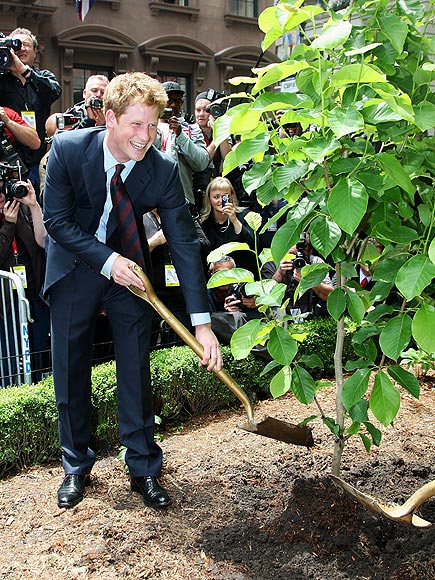 6. HE'S GREEN
photo | Prince Harry