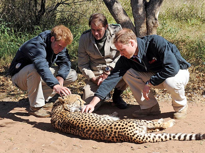 2. HE'S WORLDLY
photo | Prince Harry, Prince William