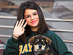 Welcome to Hollywood! New Star Pets of 2011 | Selena Gomez