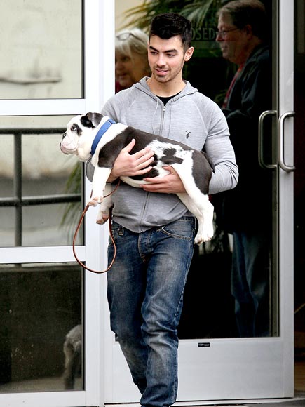 CUDDLE FEST photo | Joe Jonas