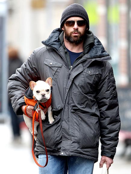 DOGGY DUTY photo | Hugh Jackman