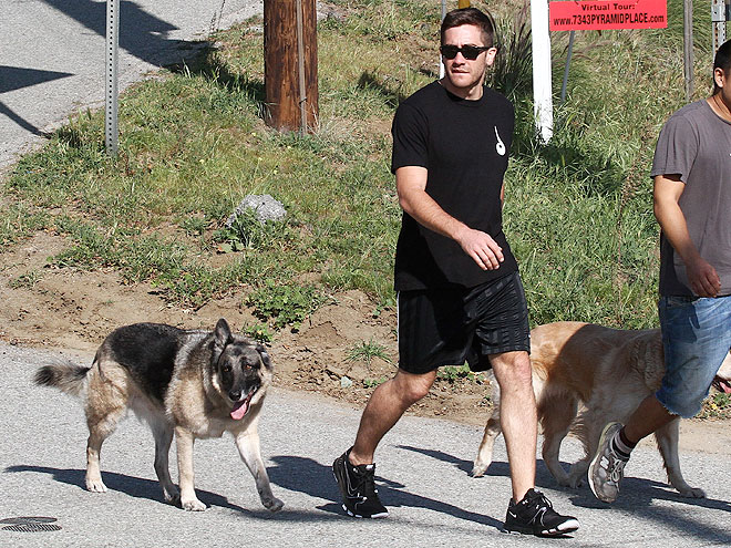 TAKE A HIKE
 photo | Jake Gyllenhaal