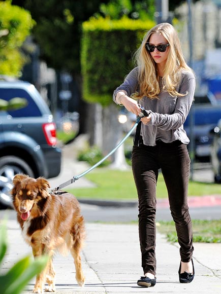 GUIDE DOG photo | Amanda Seyfried