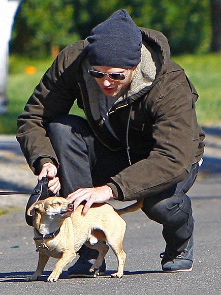 A DOG'S LIFE photo | Kellan Lutz