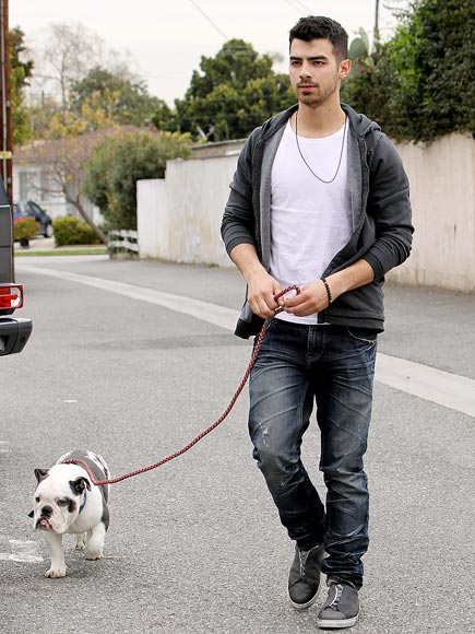 POOCH PATROL photo | Joe Jonas