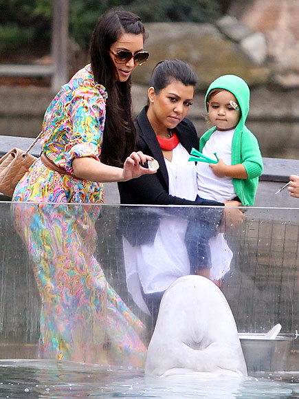 LIFE AQUATIC photo | Kim Kardashian, Kourtney Kardashian